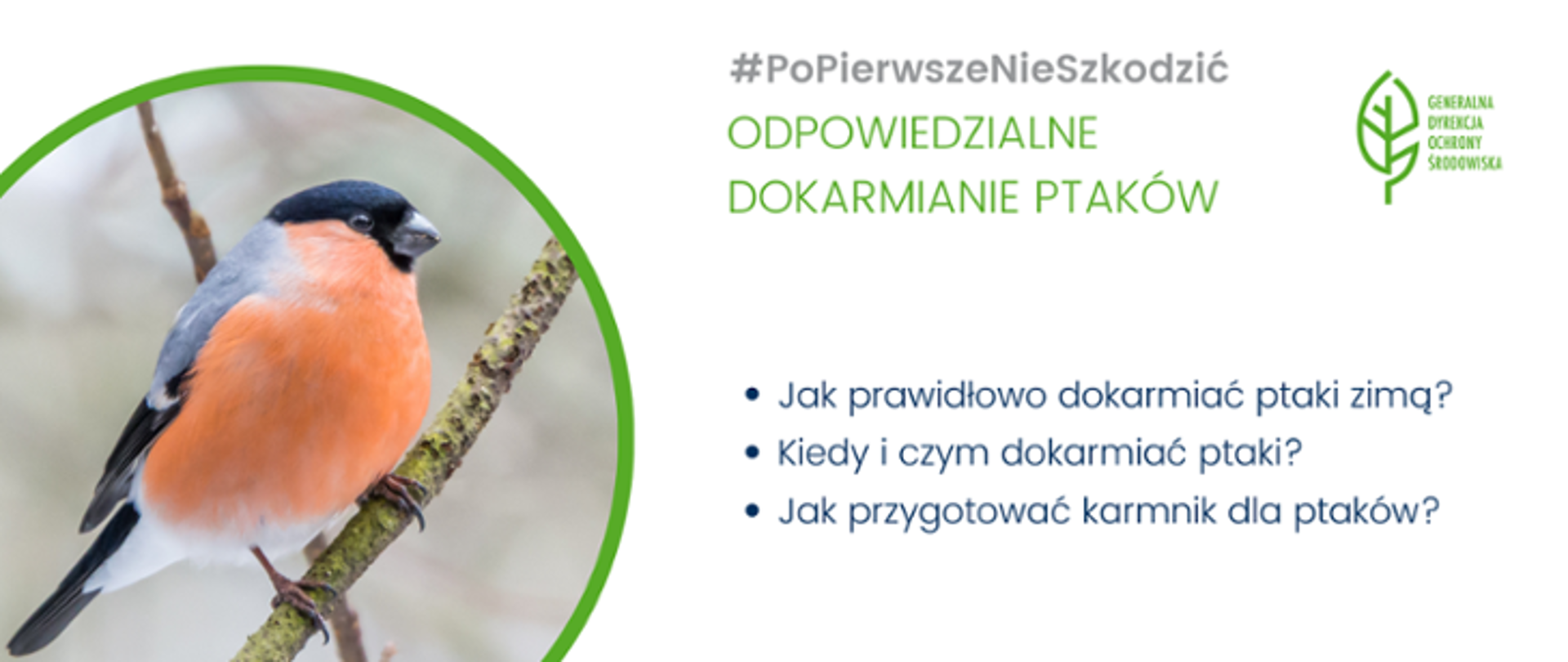 Grafika przedstawiająca ptaka gila oraz napis Po Pierwsze Nie Szkodzić, odpowiedzialne dokarmianie ptaków, jak prawidłowo dokarmiać ptaki zimą, kiedy i czym dokarmiać ptaki, jak przygotować karmnik dla ptaków
#PoPierwszeNieSzkodzić - odpowiedzialne dokarmianie ptaków