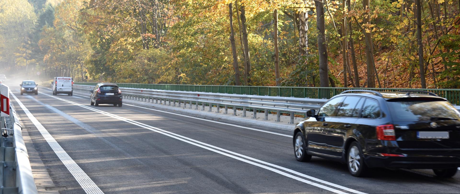 Droga wśród drzew.