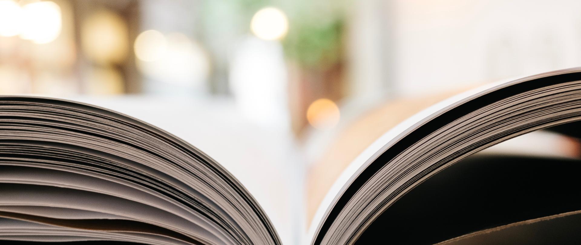 grafika przewodnik po systemie szkolnictwa wyższego i nauki