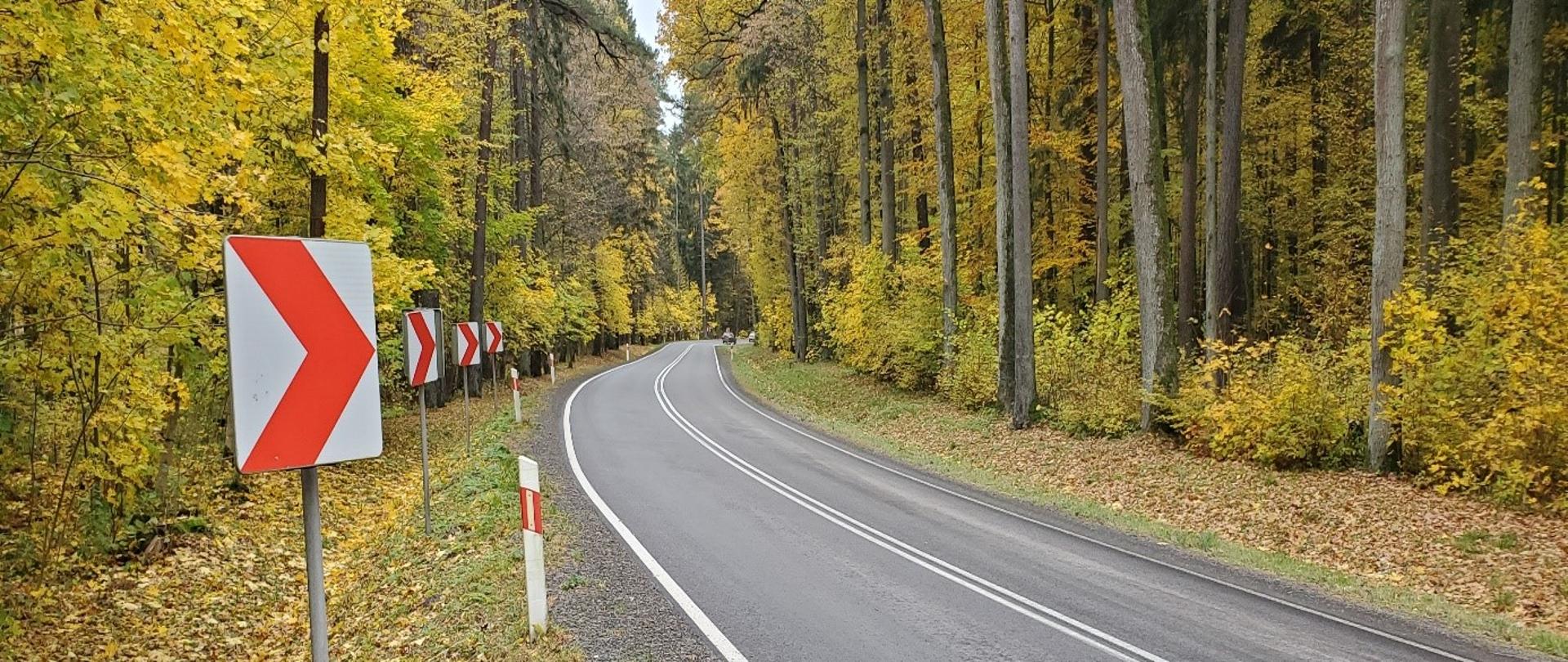 Kreta droga asfaltowa biegnąca przez las.