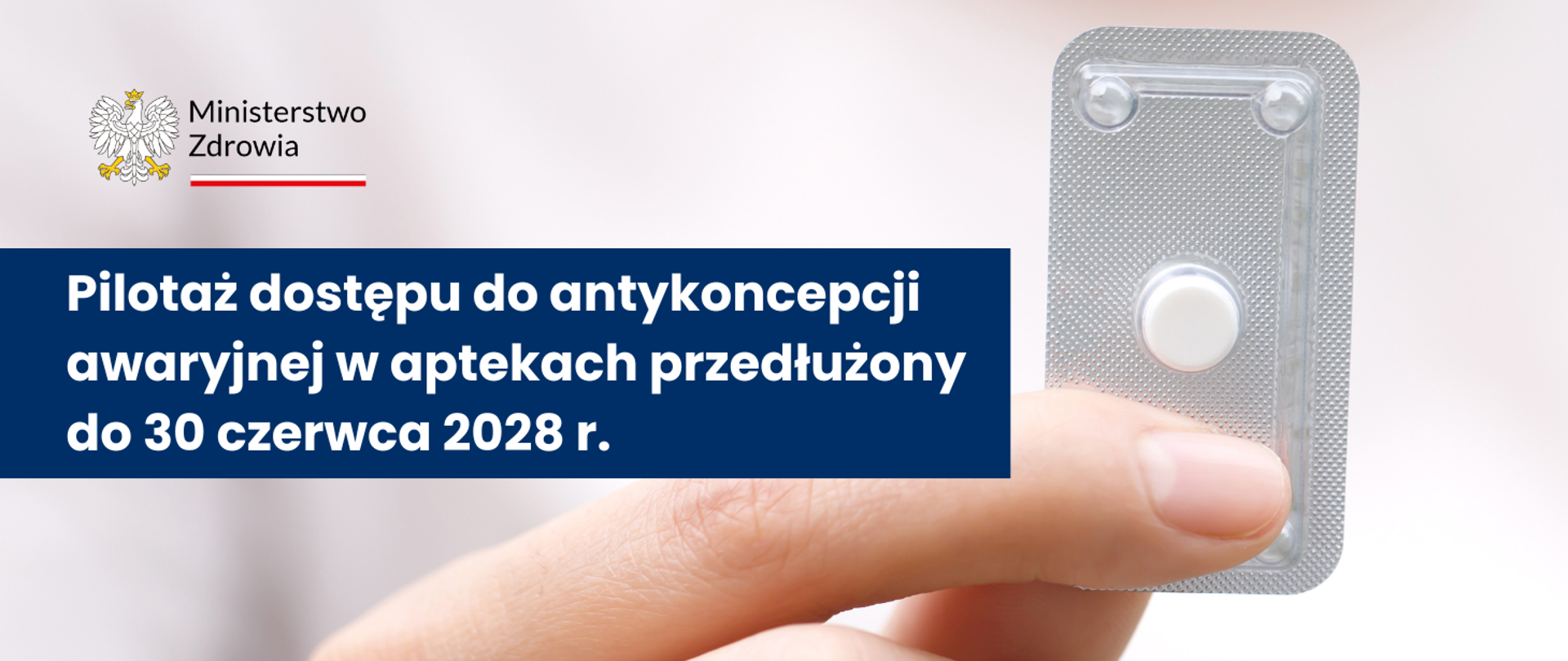 dzien_po_www