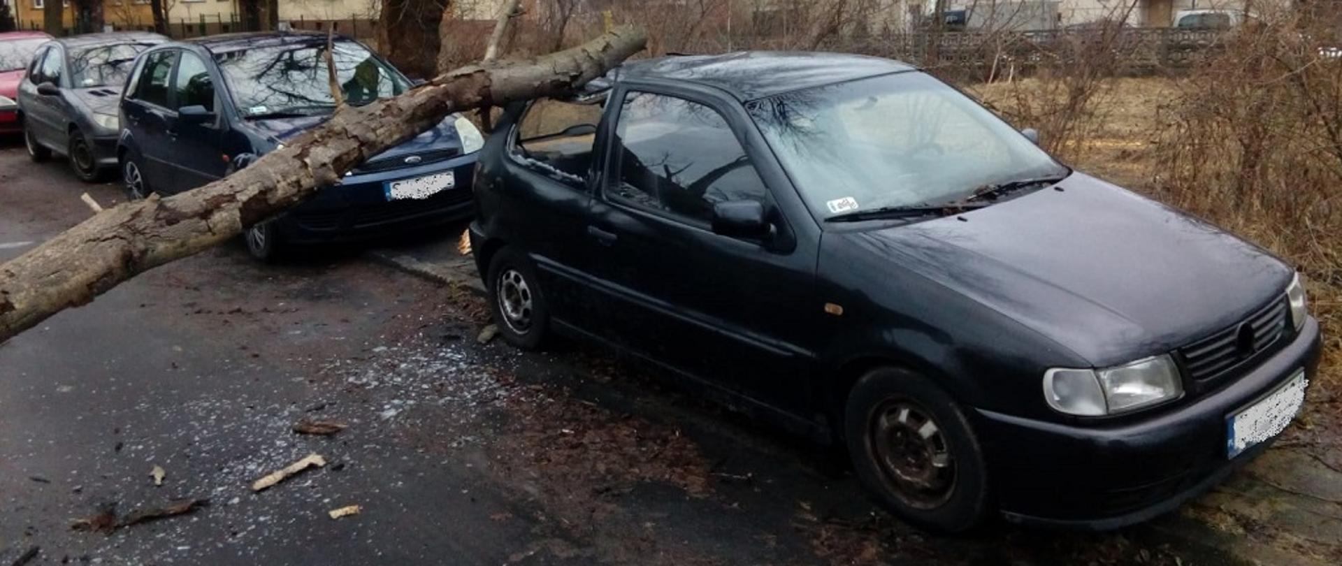 Zdjęcie przedstawia uszkodzony samochód przez powalone drzewo na tle zabudowań przy ul.Azot.