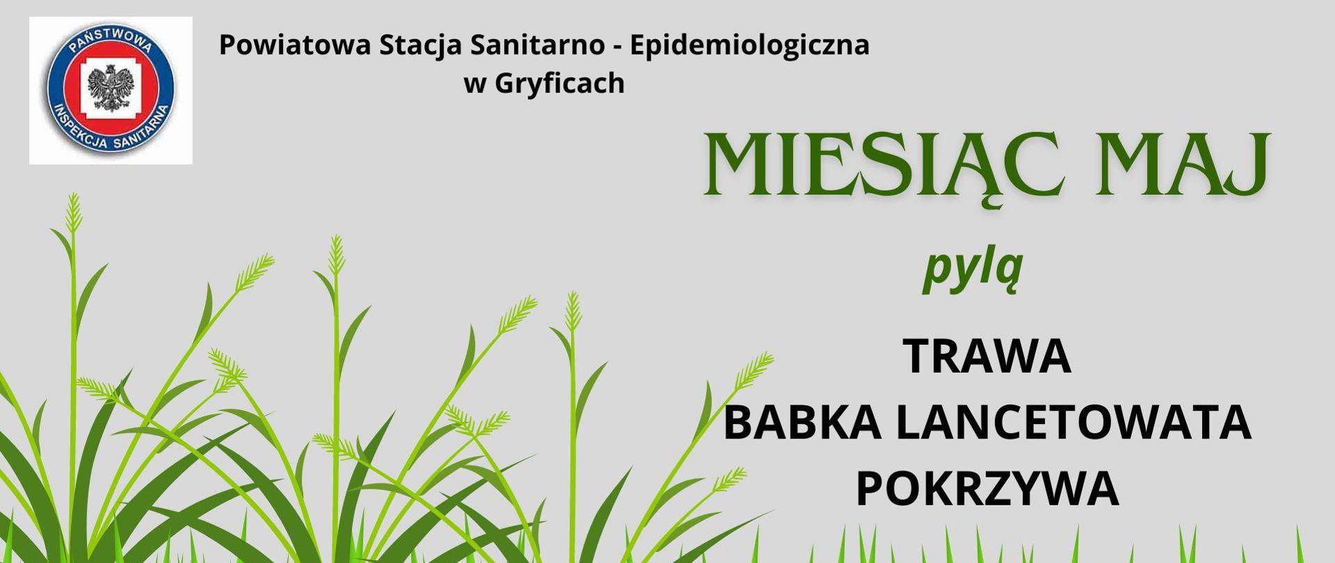 Sprawdź co pyli w maju