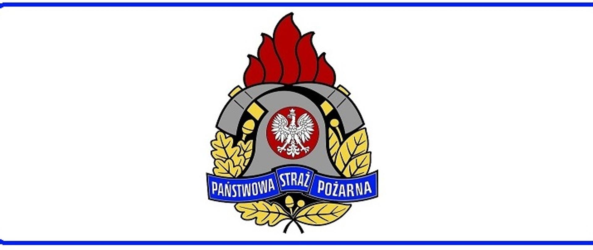 Na białym tle logo PSP