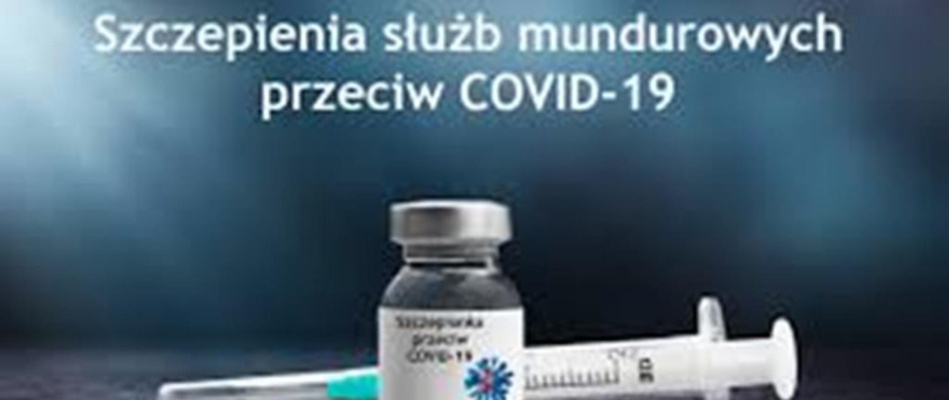 Na zdjęciu fiolka ze szczepionką oraz strzykawka z igłą.