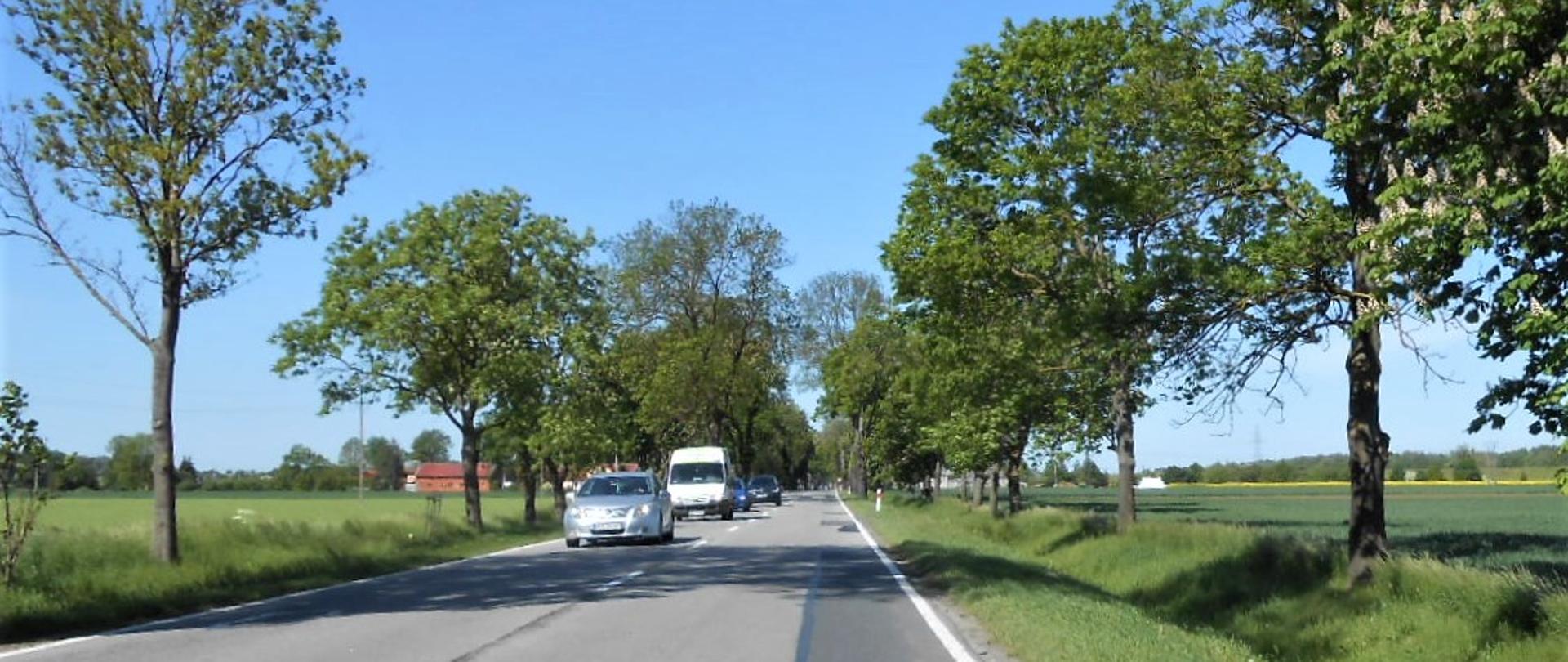 Zdjęcie przedstawia drogę krajową nr 22 z jadącymi pojazdami po obu stronach widać pola uprawne i drzewa.