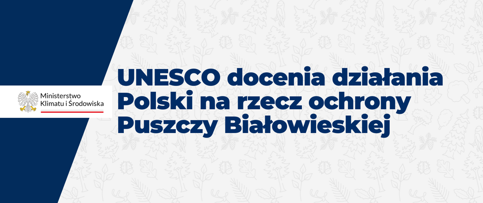 UNESCO docenia działania Polski na rzecz ochrony Puszczy Białowieskiej