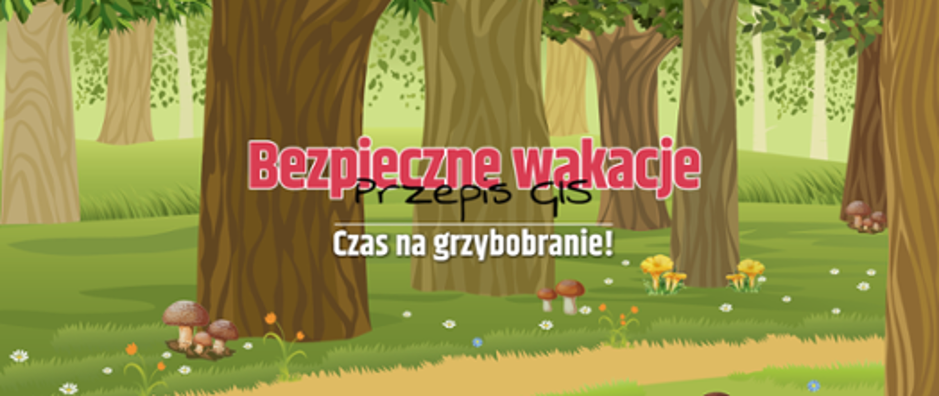 Bezpieczne wakacje grzybobranie