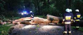 Strażacy usuwają powalone na skutek silnego wiatru drzewo, które blokuje drogę 