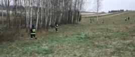 Ratownicy Państwowej Straży Pożarnej w Sejnach oraz Ochotniczej Straży Pożarnej podczas poszukiwań osoby zaginionej w miejscowości Białogóry