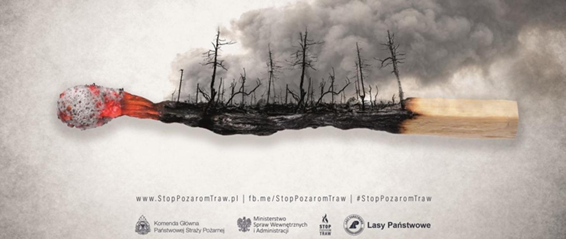 Zdjęcie przedstawia spaloną zapałkę i spalony las