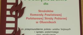 Wizyta uczniów Szkoły Podstawowej nr 3 w Obornikach u obornickich strażaków.