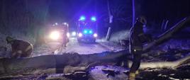Zdjęcie przedstawia powalone drzewo leżące na drodze. Strażacy z piłami obcinają je. Droga oraz drzewo jest pokryte śniegiem. Na drugim planie widzimy dwa wozy strażackie z włączonymi światłami mijania oraz niebieskimi błyskowymi. Zdjęcie wykonane porą nocną.
