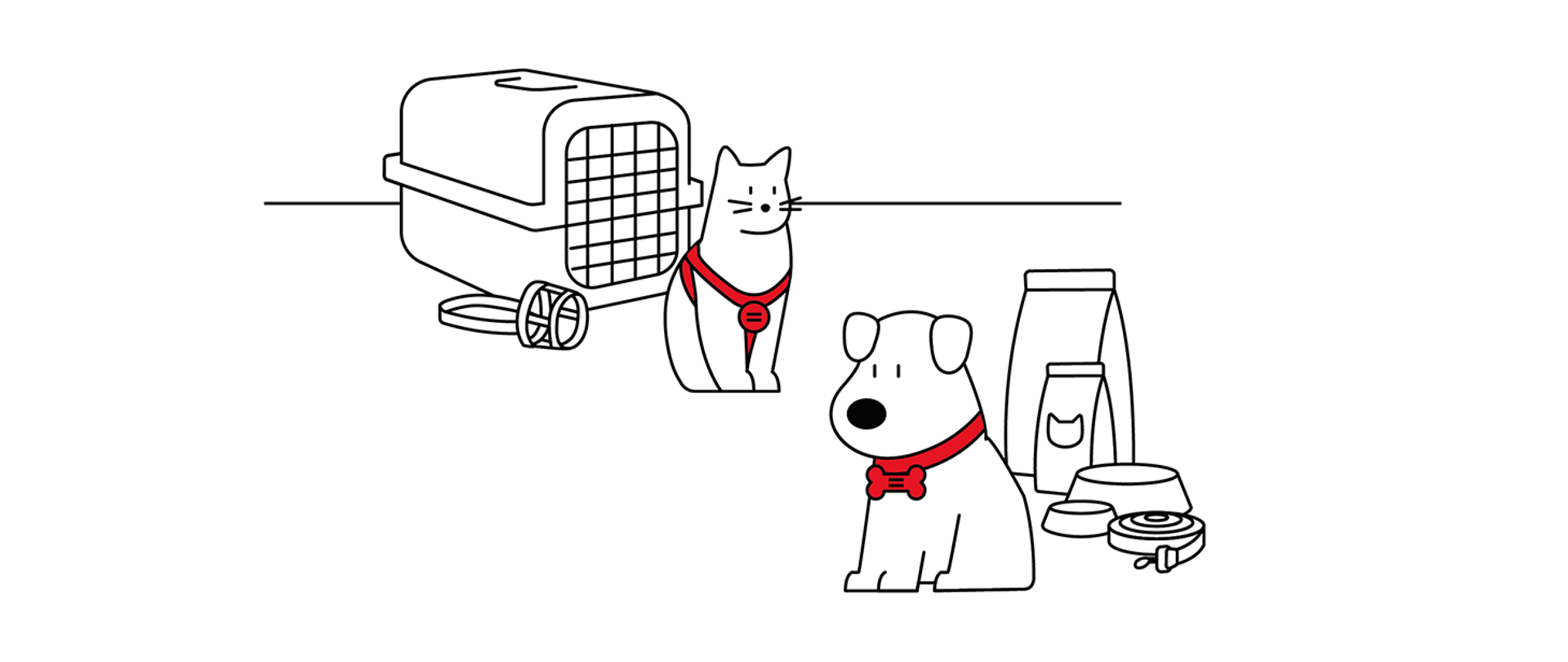 6_zadbaj_zwierzęta_1460x616