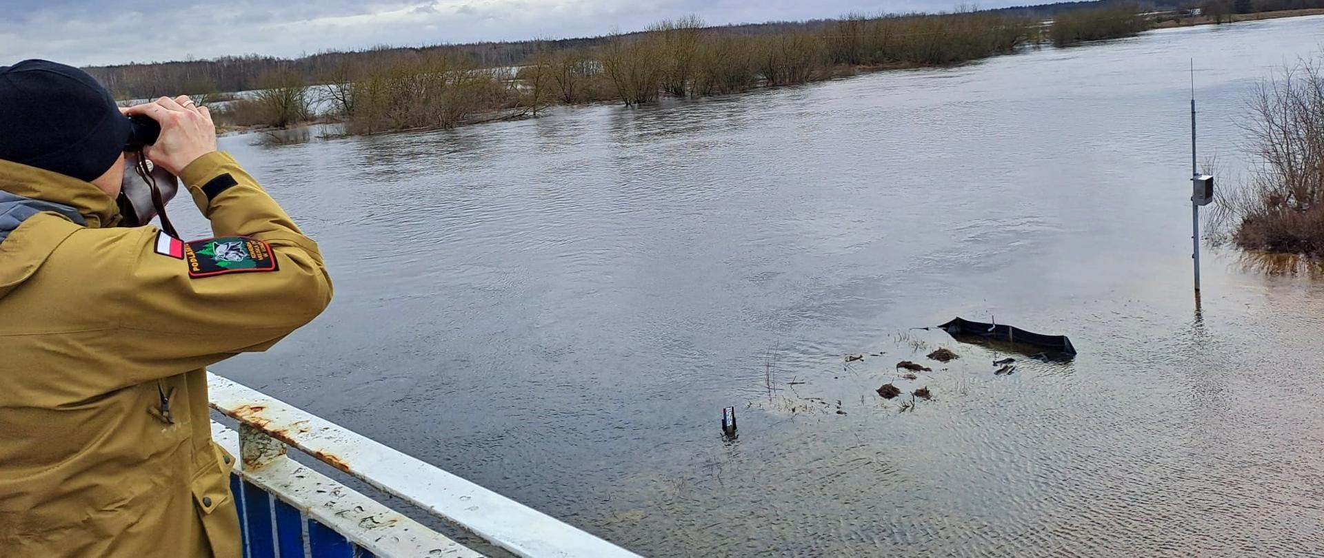 Strażak monitorujący poziom wody rzeki Narew