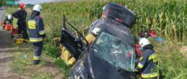 Na zdjęciu widać strażaków, którzy z rozbitego samochodu próbują wydostać osobę poszkodowaną. Strażacy ubrani są w żółte i granatowe stroje a na głowach mają białe i czerwone hełmy. Przy samochodzie jest również ratownik ze służby medycznej ubrany w czerwony strój. Ciemny samochód znajduje się w rowie. Jest całkowicie rozbity. Dookoła znajduje się dużo sprzętu strażackiego i ratowników medycznych. W oddali widać biały samochód osobowy stojący na drodze oraz zielony znak drogowy. W tle widać drzewa i kukurydzę rosnąca na polu. Jest widno, ale na niebie są chmury.