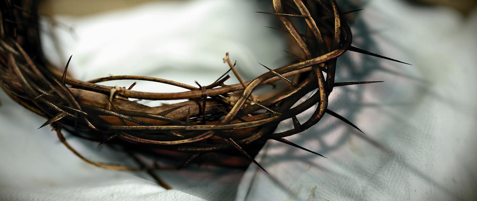 Zdjęcie korony cierniowej na białym płótnie