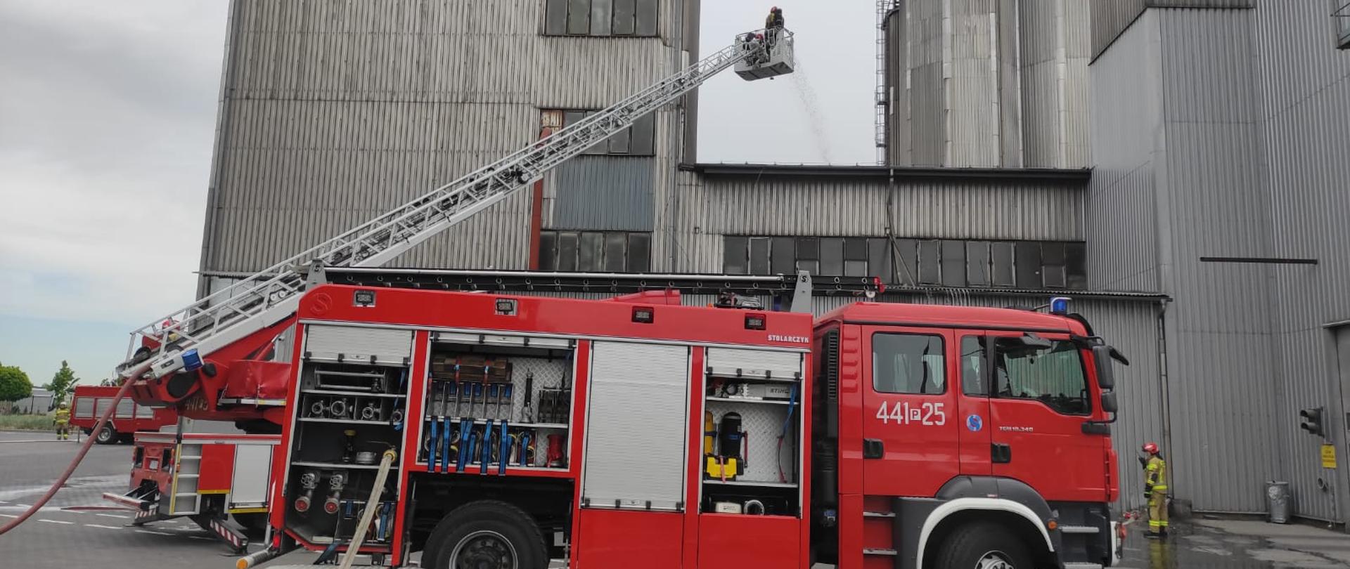 ćwiczenia w firmie De Heus