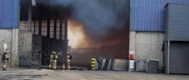 Strażacy Państwowej Straży Pożarnej w umundurowaniu bojowym z czerwonymi hełmami na głowach oraz aparatami ochrony układu oddechowego gaszą pożar w hali magazynowej odzysku odpadów nieorganicznych w Skarbimierzu.
Z szczytu hali wydobywa się gęsty szary dym. Przed halą plac z płyt betonowych.