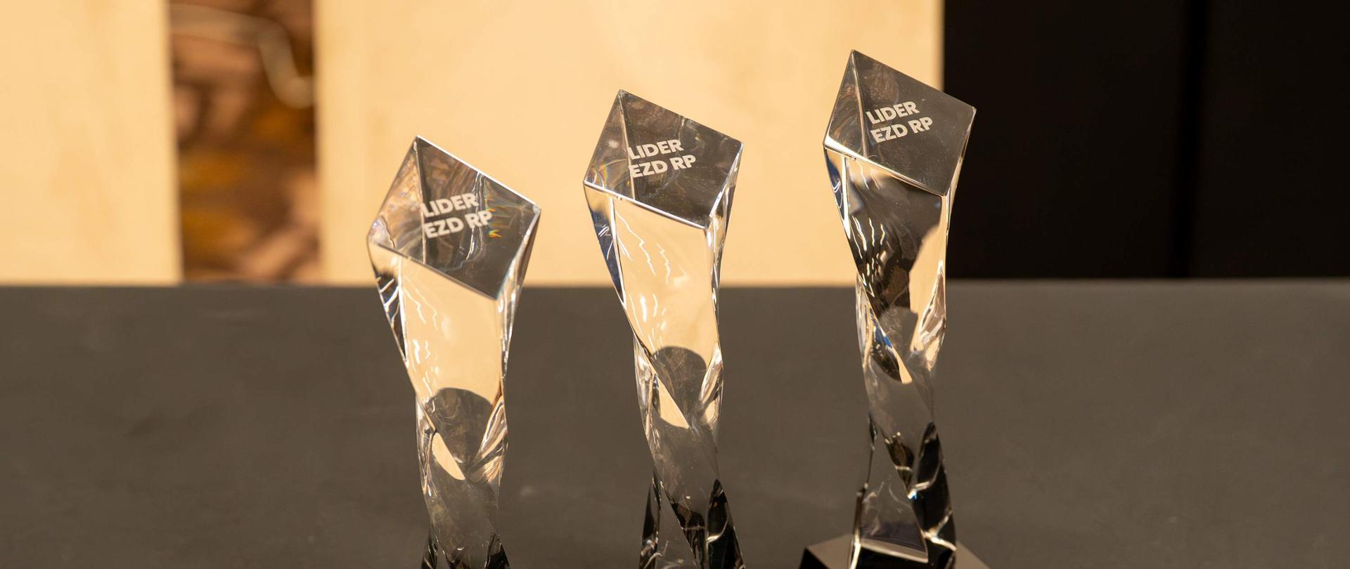 Trzy szklane statuetki ustawione obok siebie na ciemnym obrusie. Każda statuetka ma wysoki, skręcony, przezroczysty korpus w formie prostopadłościanu z licznymi szlifami, który rozszerza się ku górze w lekko pochyloną, prostokątną płaszczyznę. Na górnej części każdej statuetki białym napisem umieszczony jest tekst: „LIDER EZD RP”. Podstawa każdej nagrody jest czarna, błyszcząca, w kształcie niskiego sześcianu, z przodu znajduje się kilka wierszy drobnego białego tekstu – widoczne są słowa „Z PODZIĘKOWANIEM ZA WSPÓŁPRACĘ”, dalej mniejszy, trudniejszy do odczytania napis, następnie „ZESPÓŁ EZD RP” oraz
na samym dole wyraźne logo „NASK”.Tło jest rozmyte i jasne, dzięki czemu statuetki wyraźnie się wyróżniają.