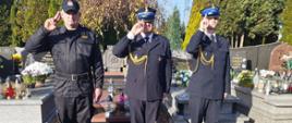 Widok z przodu. Trzech strażaków PSP salutuje na cmentarzu przed grobem. Na drugim planie inne mogiły.