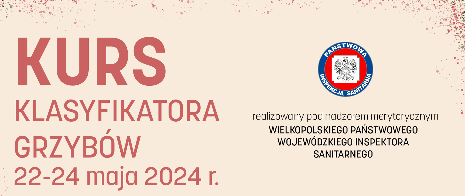 Kurs na klasyfikatora grzybów