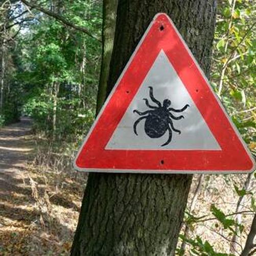 znak drogowy z kleszczem