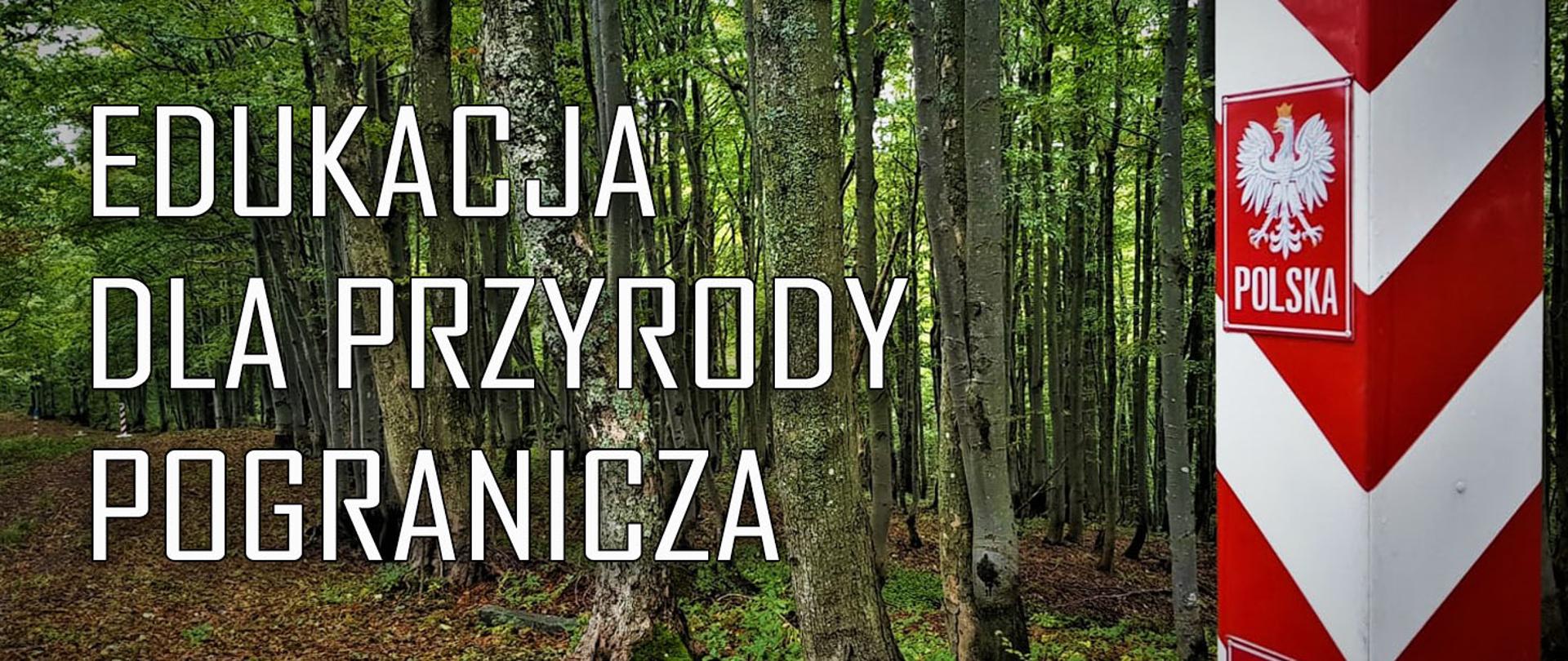 Na zdjęciu w tle widać las, po prawej strony fragment słupa granicznego z godłem Polski, po lewej napis o treści edukacja dla przyrody pogranicza.