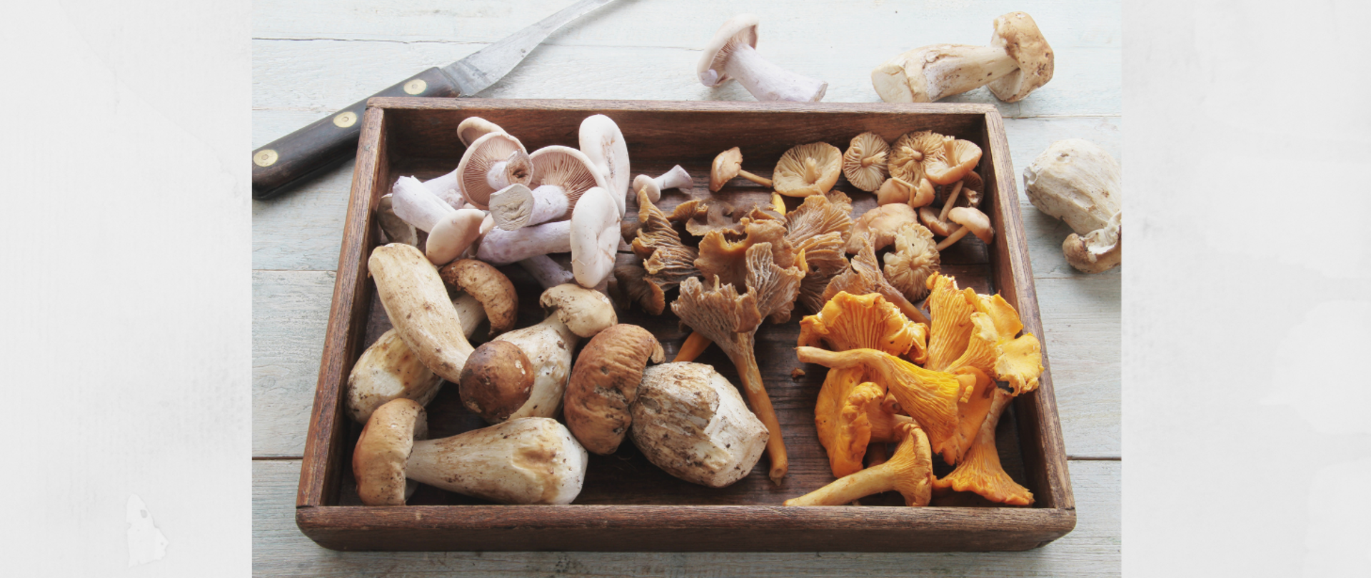 Zdjęcie przedstawia tacę z grzybami