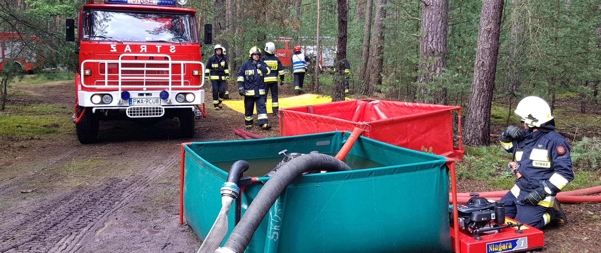 Ćwiczenia na obszarach leśnych 