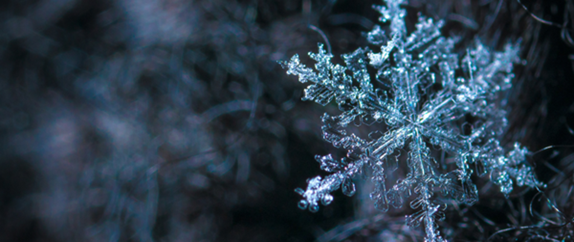 zima płatek śniegu