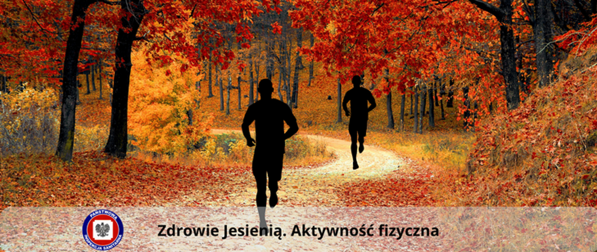 Dwie postacie biegnące ścieżką po lesie w sezonie jesiennym. Wokół drzewa i krzewy z liśćmi w kolorze żółtym i pomarańczowym. 