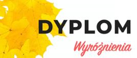 Zdjęcie przedstawia dyplom wyróżnienia zdobyty przez Lenę Bogaczyk w ramach Festiwalu Forte.