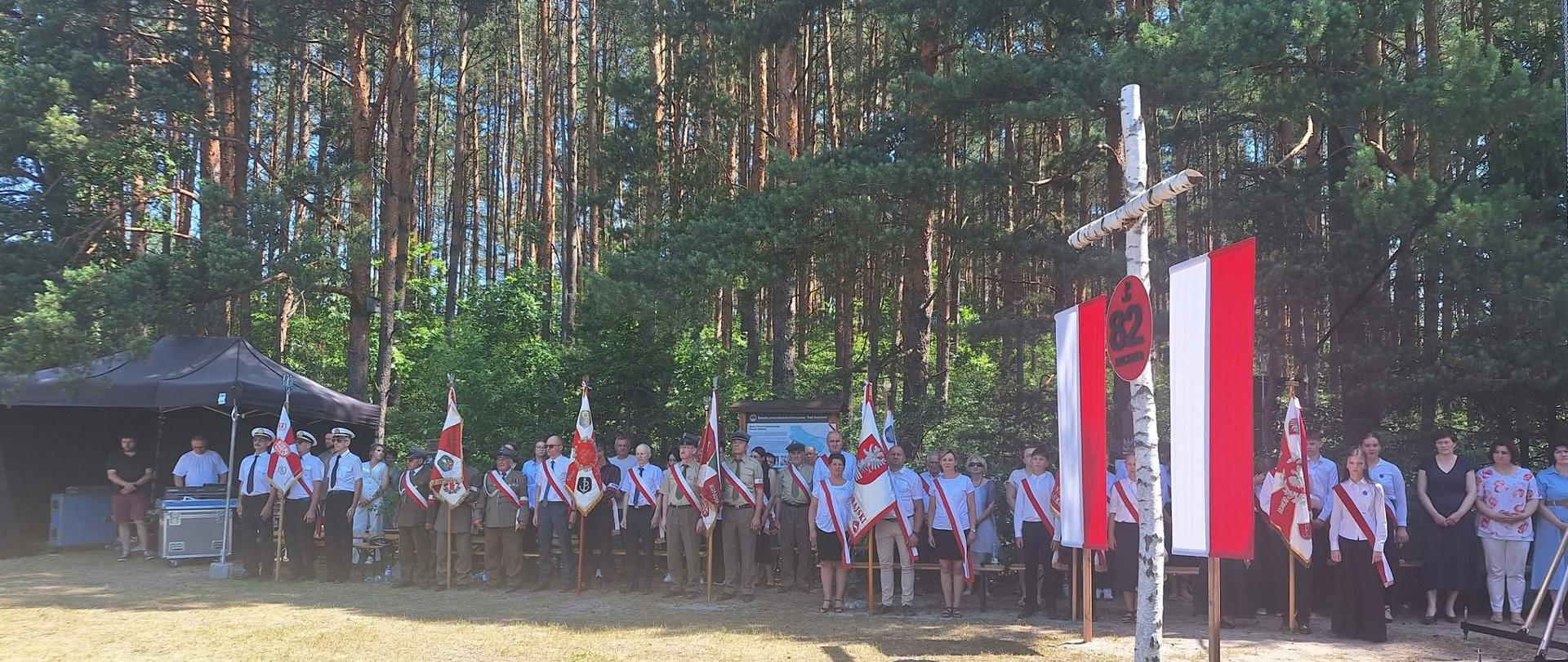 82. rocznica Bitwy pod Osuchami