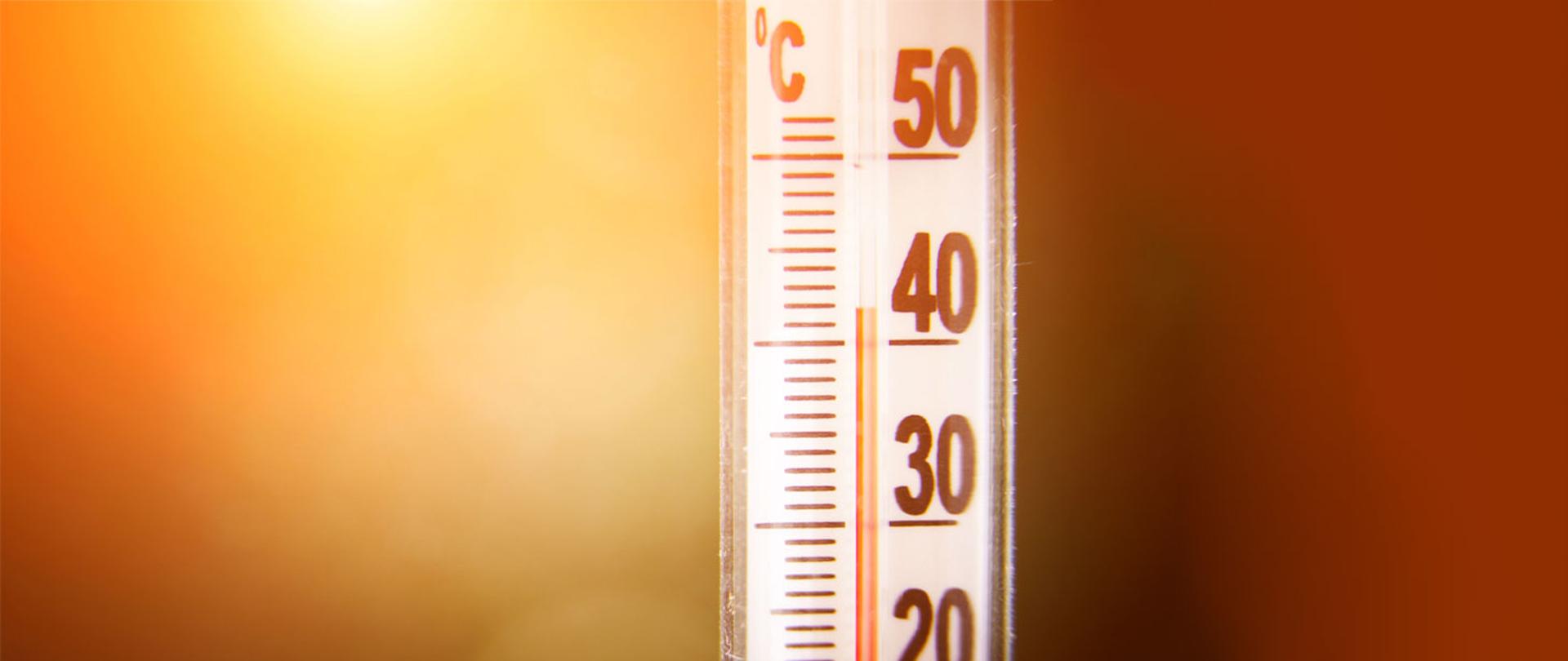 Zdjęcie przedstawiające termometr okienny, wskazujący temperaturę +42 stopni celsjusz.