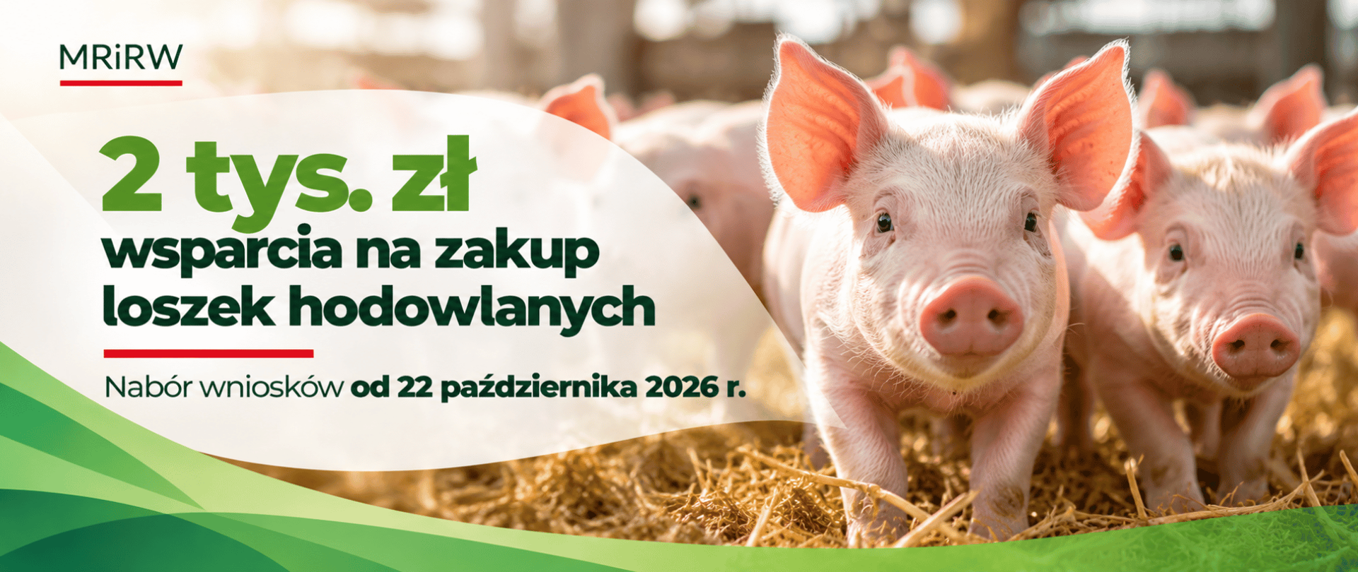 Główne