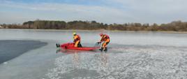 Zdjęcie przedstawia dwóch ratowników, którzy ewakuują na saniach lodowych pozoranta wyciągniętego z wody. 