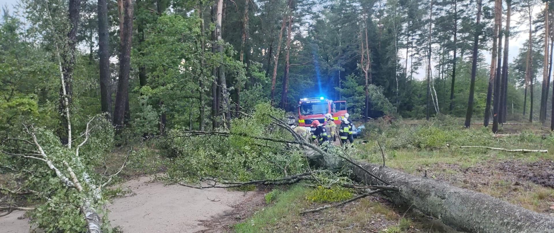 Strażacy usuwają powalone drzewo z drogi