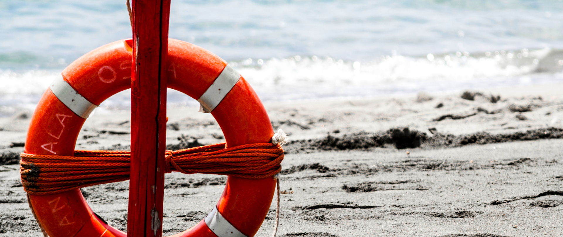 Wakacje z WSSE i WOPR