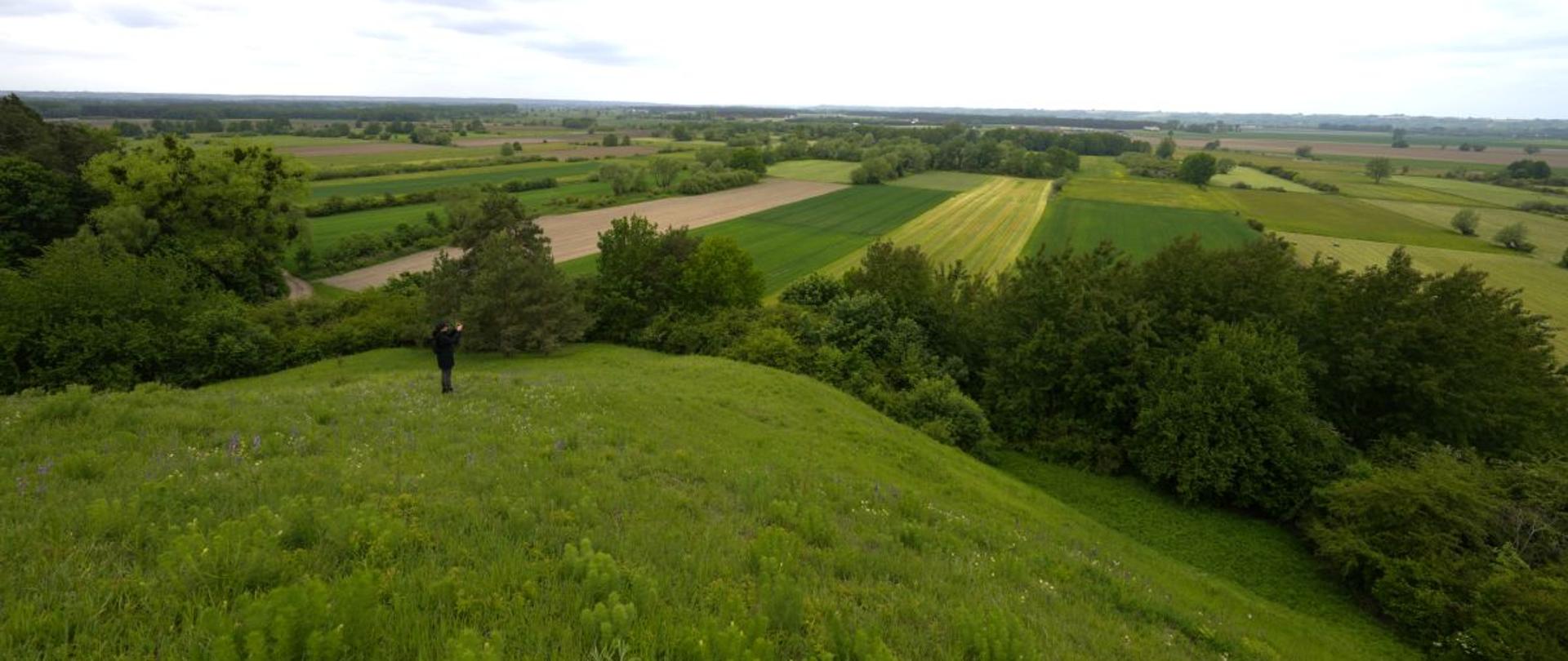 Zdjęcie z góry na zbocze w rezerwacie przyrody Zbocza Płutowskie