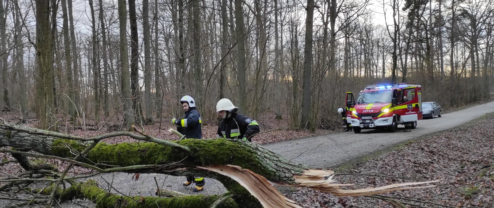 Zdjęcie wykonano za dnia, dwóch strażaków Ochotniczej Straży Pożarnej w ubraniach specjalnych usuwa z drogi powalone drzewo. Na dalszym planie lekki samochód ratowniczo-gaśniczy. 