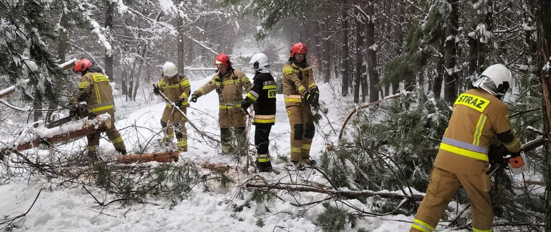 Strażacy w umundurowaniu specjalnym usuwają powalone na jezdnię drzewo za pomocą pilarek spalinowych.