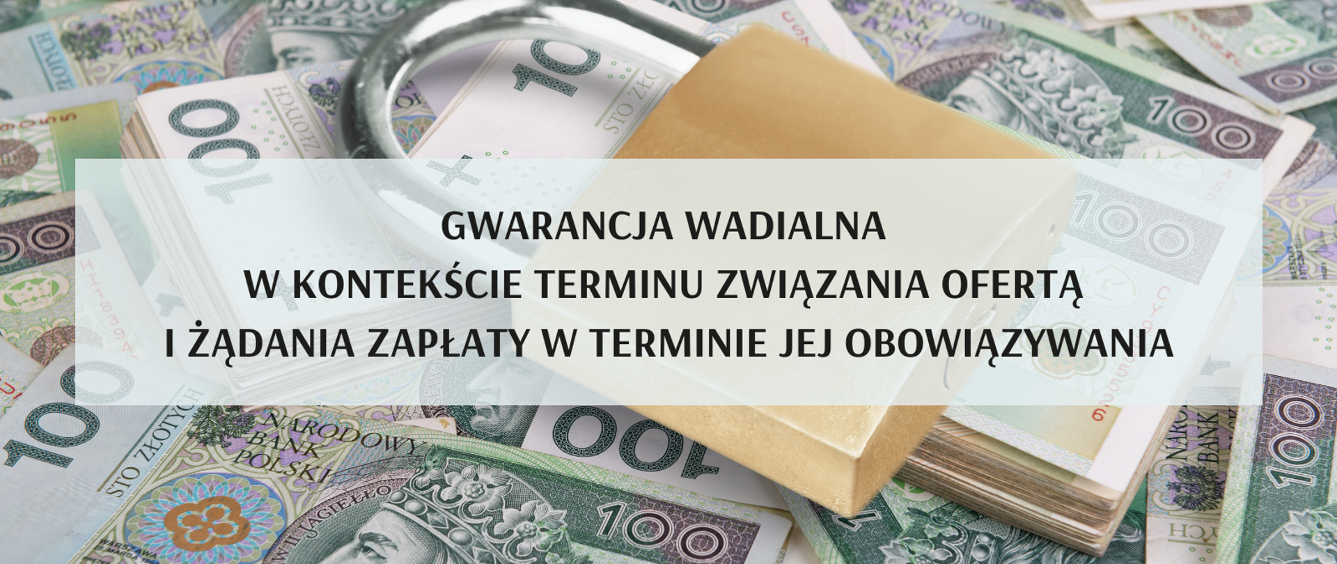 Opinia Prezesa UZP dotycząca gwarancji wadialnej