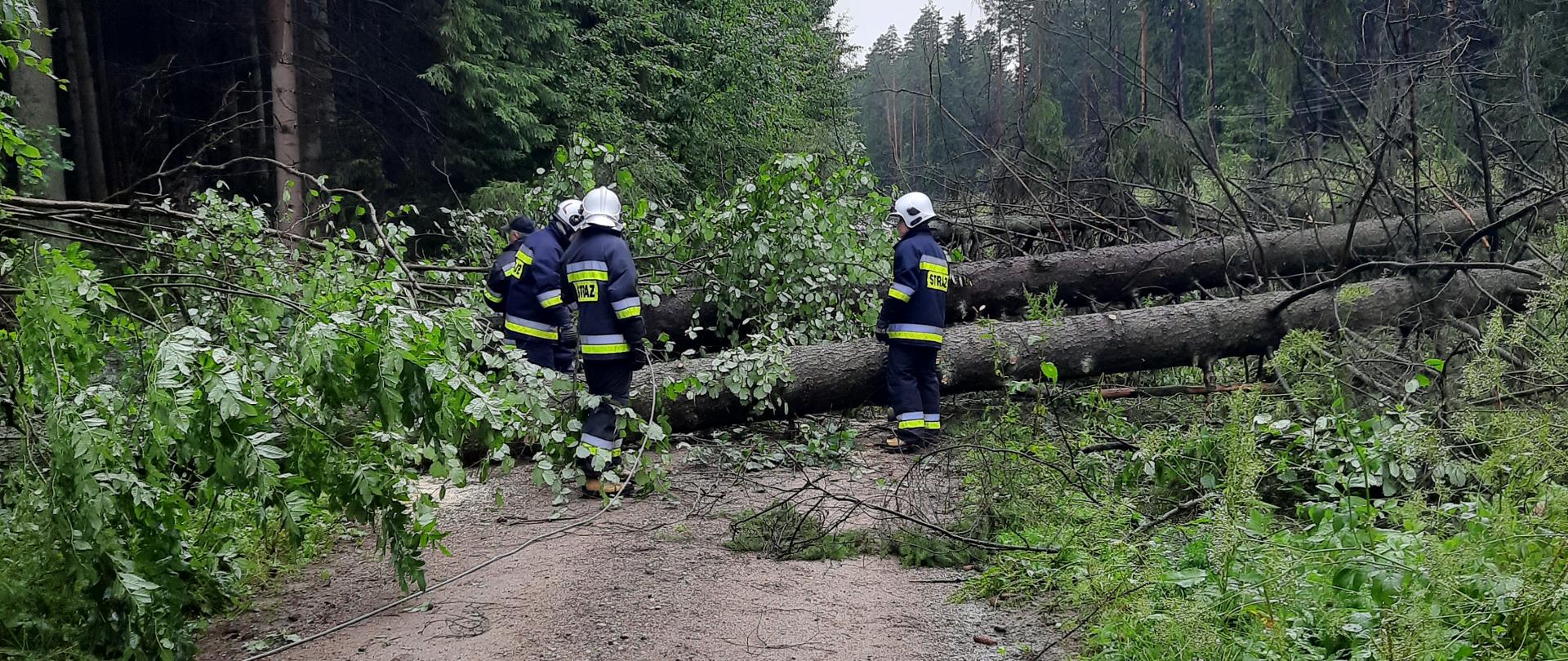 Strażacy usuwają powalone drzewa z drogi