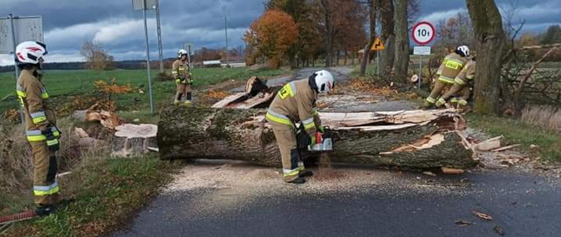 Skutki silnego wiatru 21.10.2021 r przecinanie powalonego drzewa