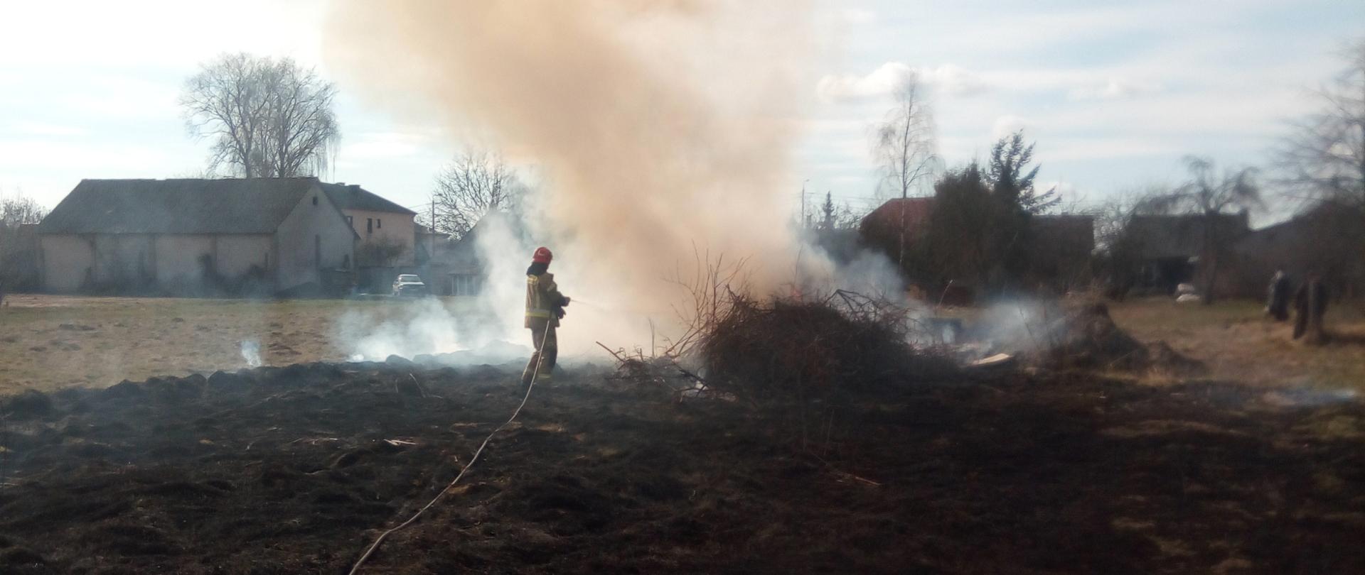 Strażak gaszący palącą się stertę gałęzi, wokół wypalona trawa. W tle zabudowania.