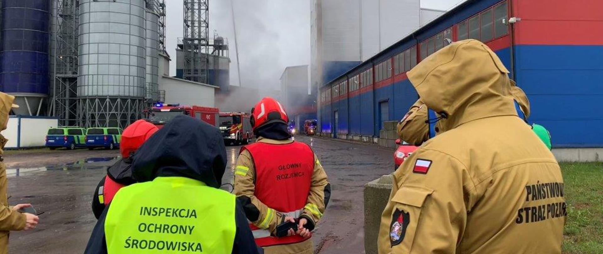 Inspektor Wojewódzkiego Inspektoratu Ochrony Środowiska w Warszawie oraz czterech Funkcjonariuszy Państwowej Straży Pożarnej obserwują akcje gaśniczą. W tle stoi magazyn płaski na pasze workowane, za nim wieża technologiczna oraz silosy suszarni zbóż zakładu produkcyjnego.