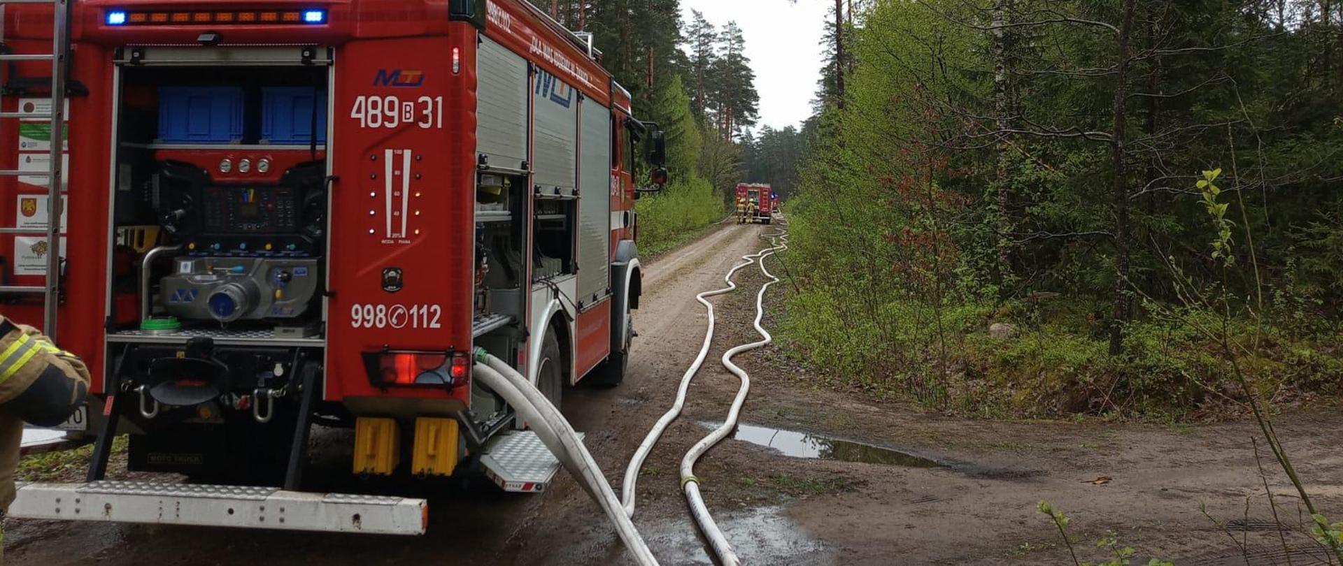 Ćwiczenia Nadleśnictwo Krynki