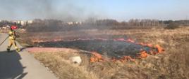 Na zdjęciu widoczny jest pożar trawy oraz strażak trzymający w dłoniach prądownice przed przystąpieniem do gaszenia objętej pożarem trawy. 