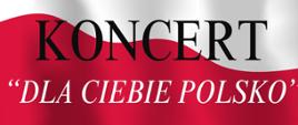 Plakat informacyjny dotyczący Koncertu "Dla Ciebie Polsko" odbywającego się w dniu 12.11.2025 o godz. 18.00.
